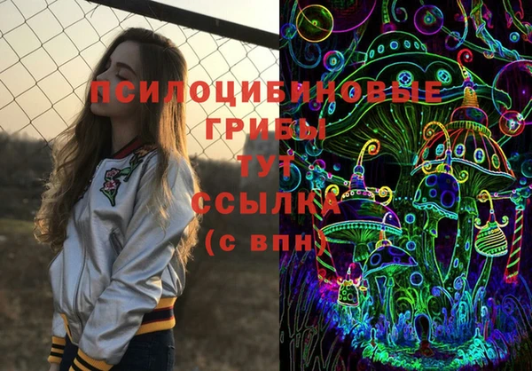 стаф Алзамай