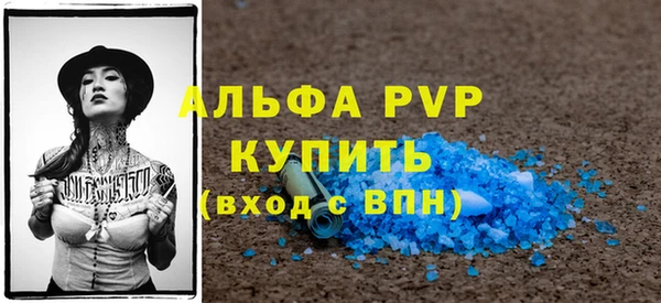 стаф Алзамай