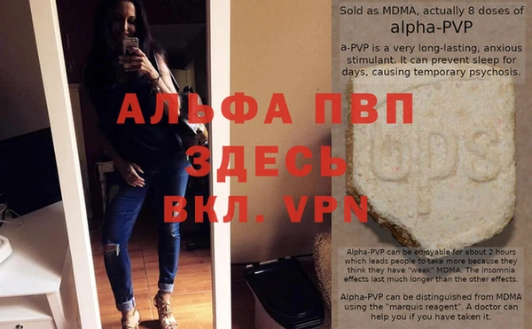 стаф Алзамай