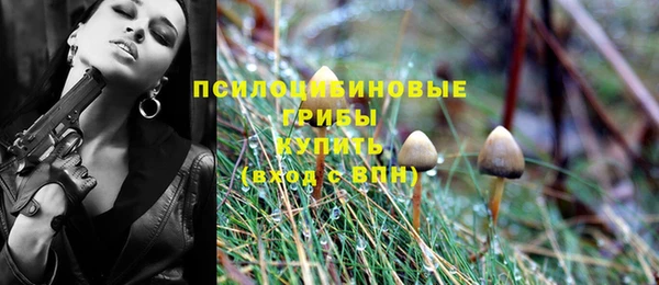 стаф Алзамай