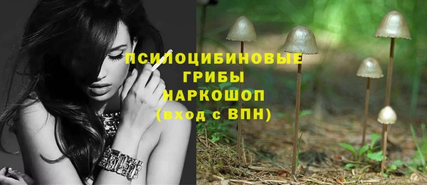 стаф Алзамай